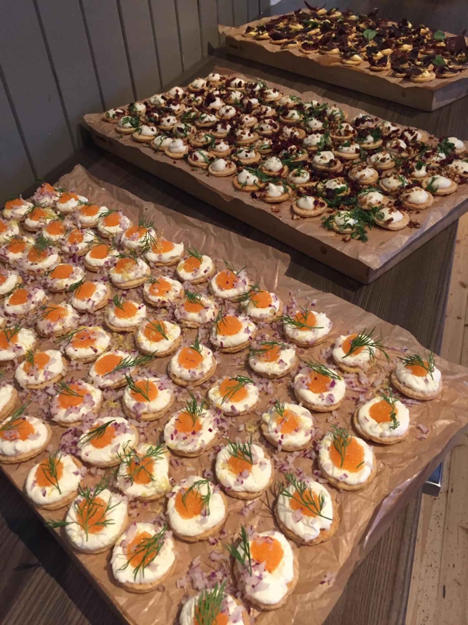 Marsfjaell Mountain Lodge Vandrarhem I Saxnaes 外观 照片