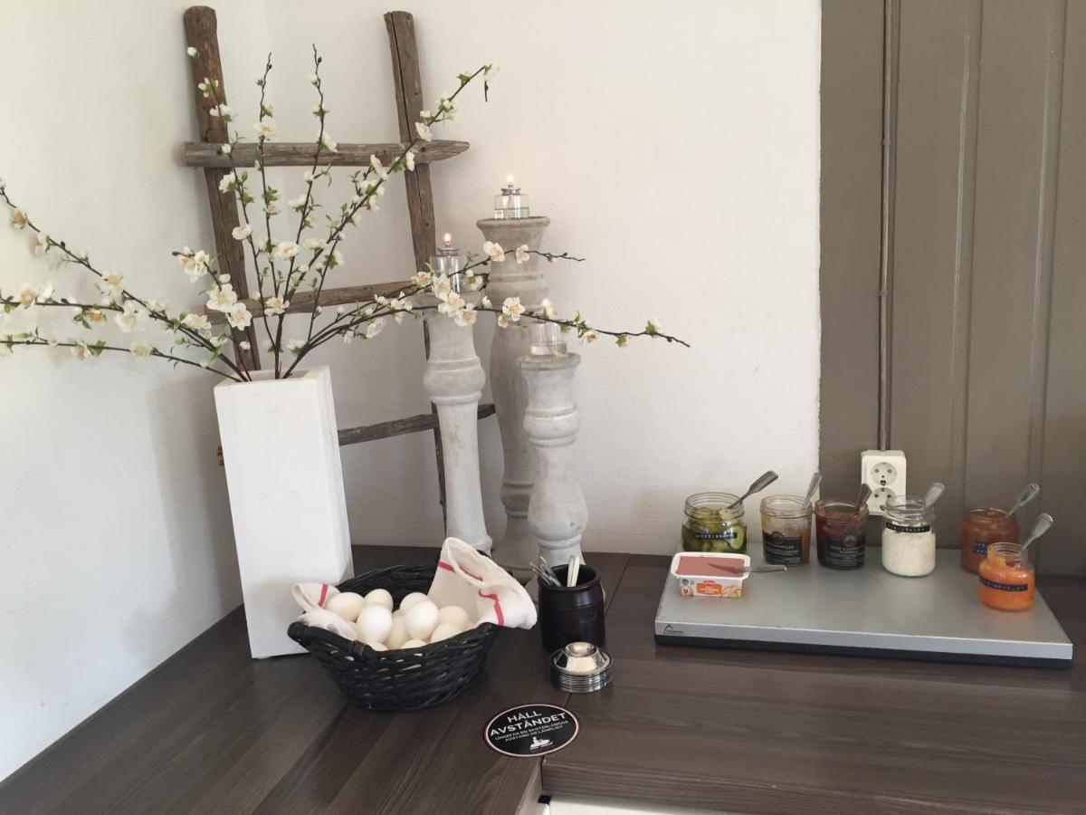 Marsfjaell Mountain Lodge Vandrarhem I Saxnaes 外观 照片